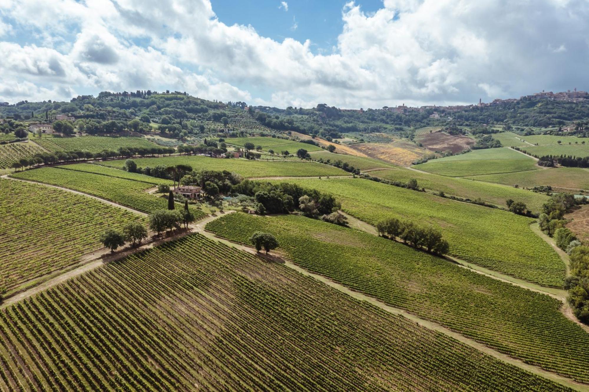 Villa Talosa Montepulciano Stazione Kültér fotó