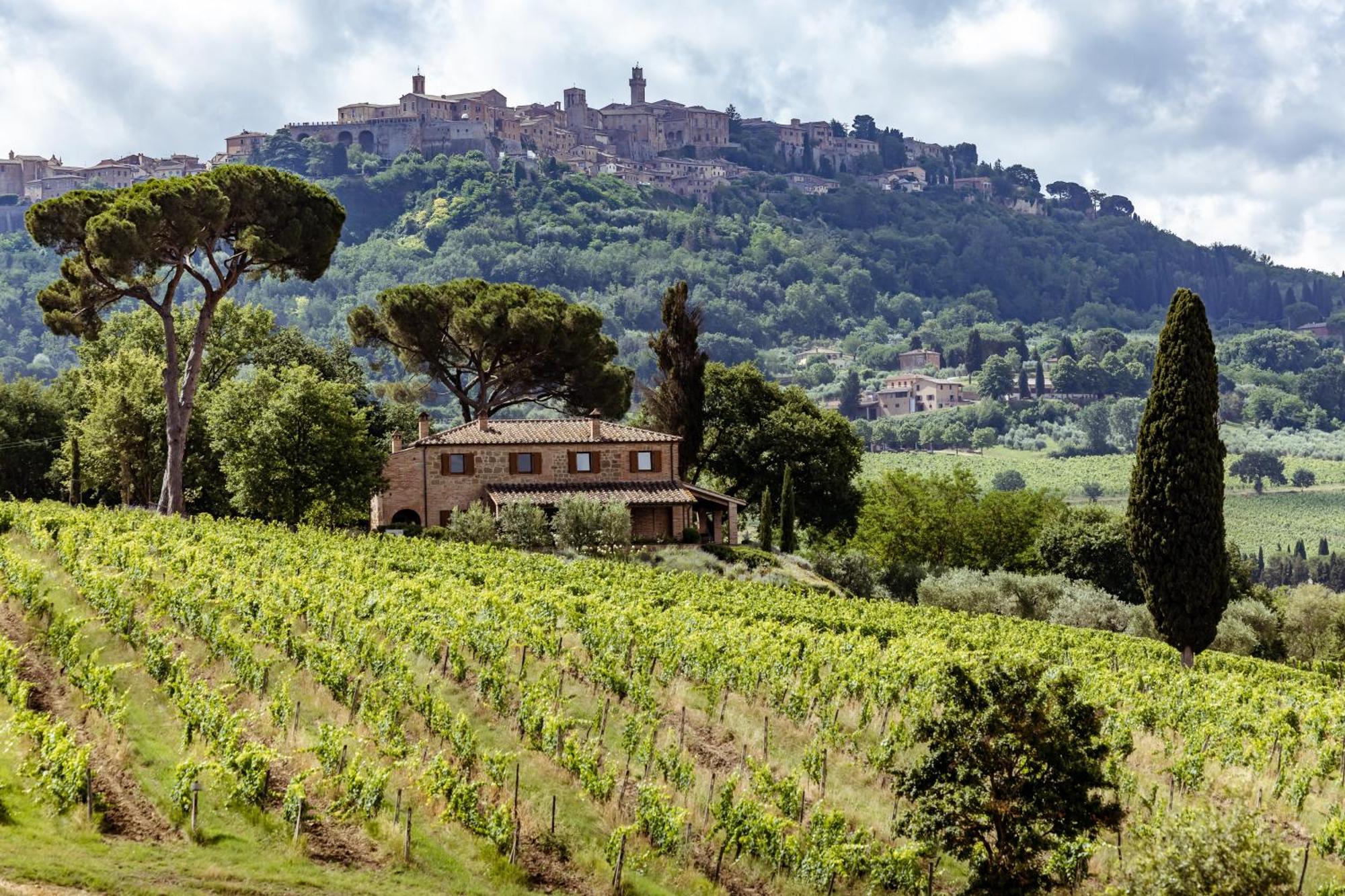 Villa Talosa Montepulciano Stazione Kültér fotó